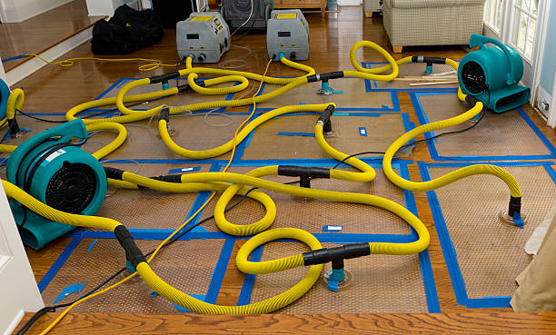 Professional Burst Pipe Water Damage technician working in Cocoa Beach, FL